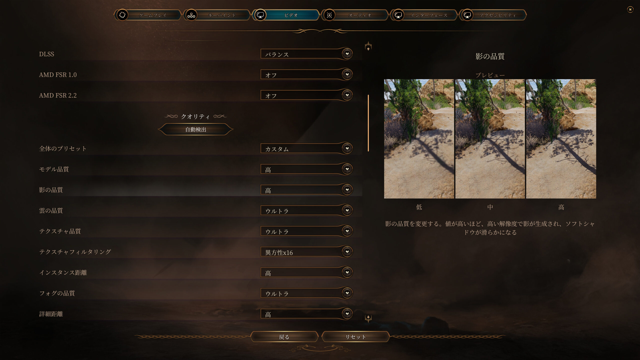 バルダーズゲート3のグラフィック設定画面